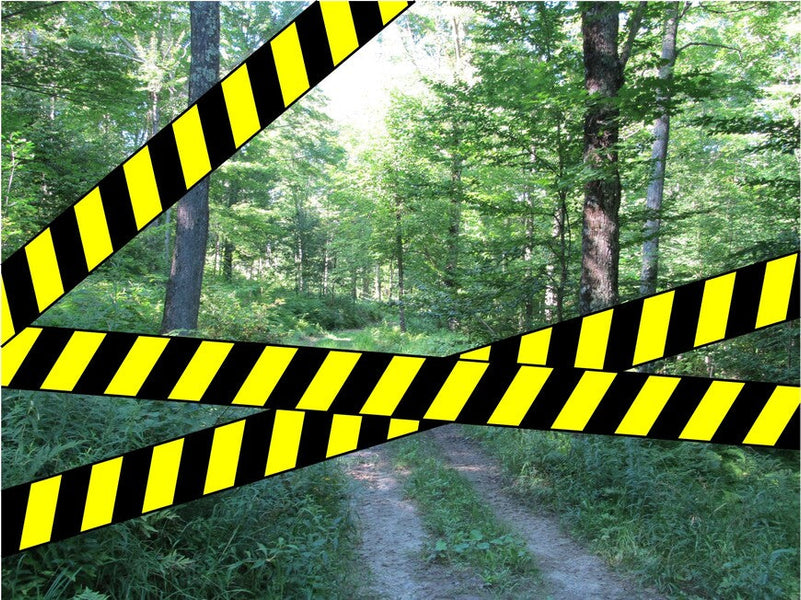 Don't Cut the Trees? Not so Fast . . .