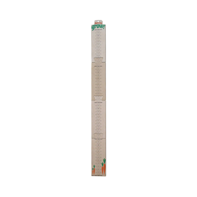 Here We Grow! Carrot Theme Growth Chart