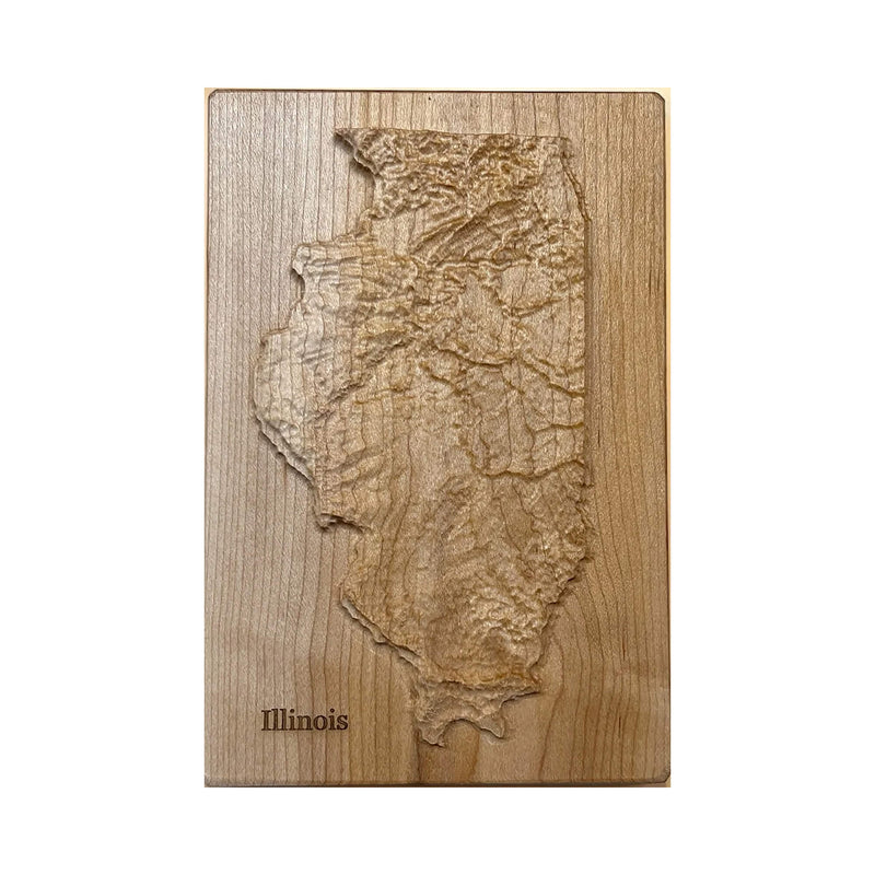 Illinois Topographic 3D Relief State Map | Illinois State Map Gift